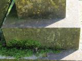 image of grave number 836454